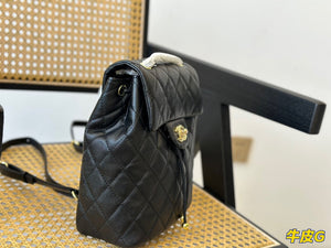 2023 CC handbag -149