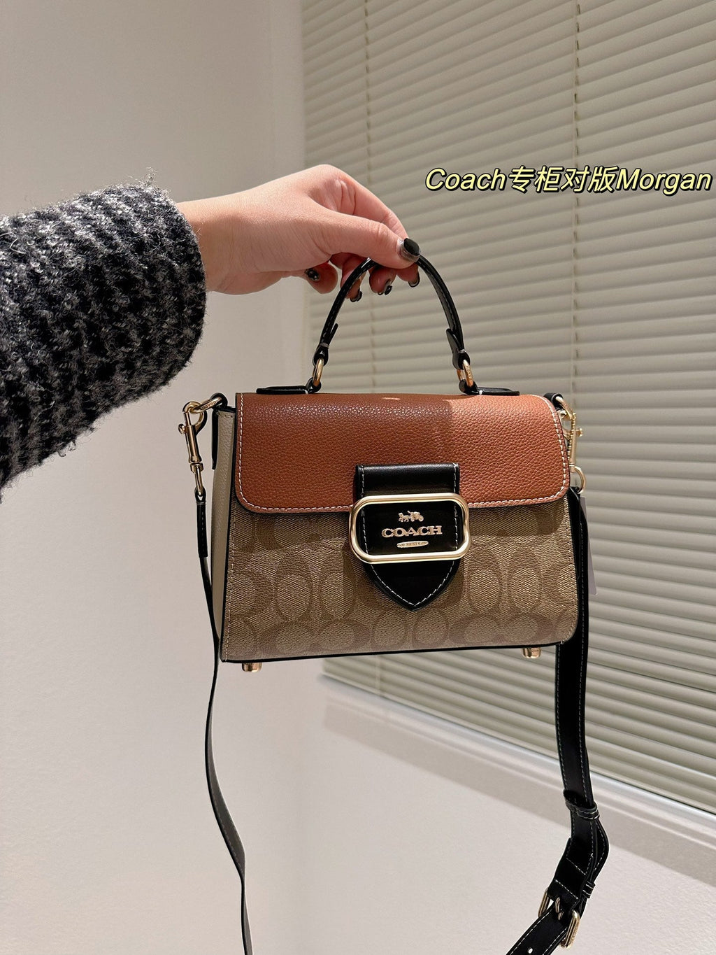 2023 coa handbag -132