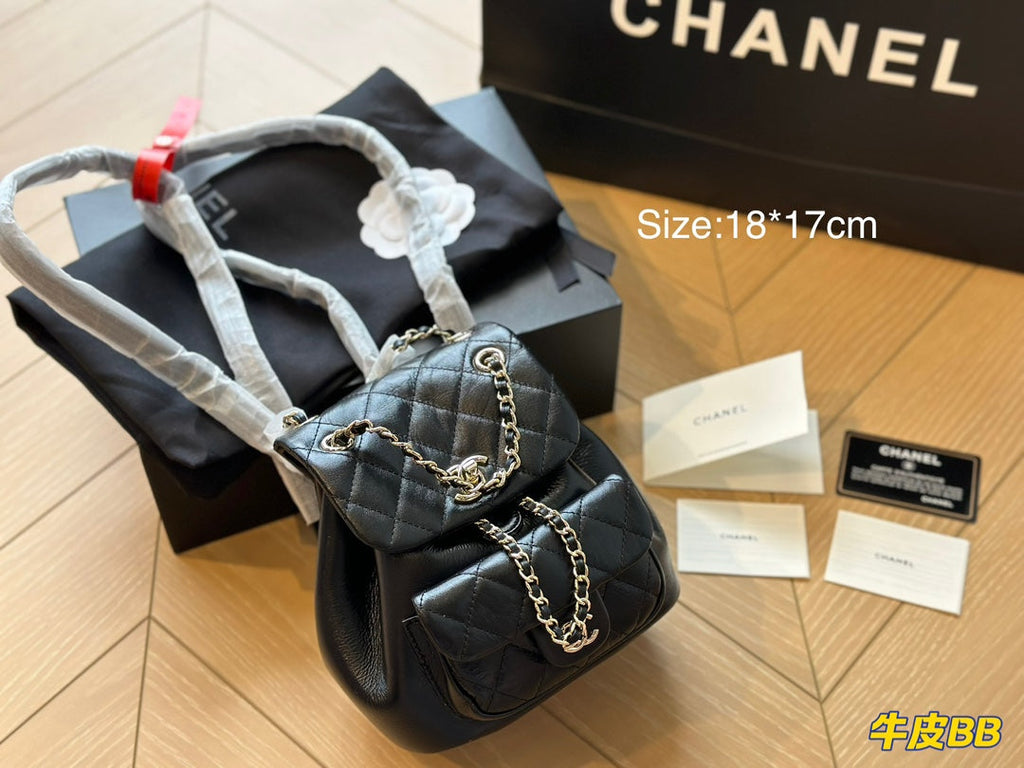 2023 CC handbag -238